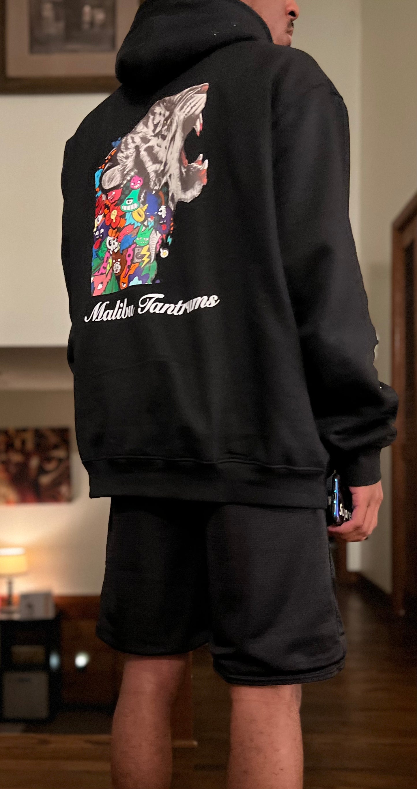 Malibu Tantrums Hoodie